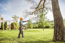 Lawn Pest Prevention in Samsula Spruce Creek, FL